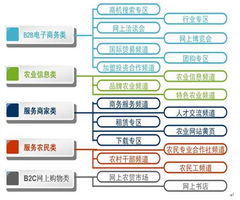 中国农业信息网商务版运营模式探索 构建数字化农业服务新生态